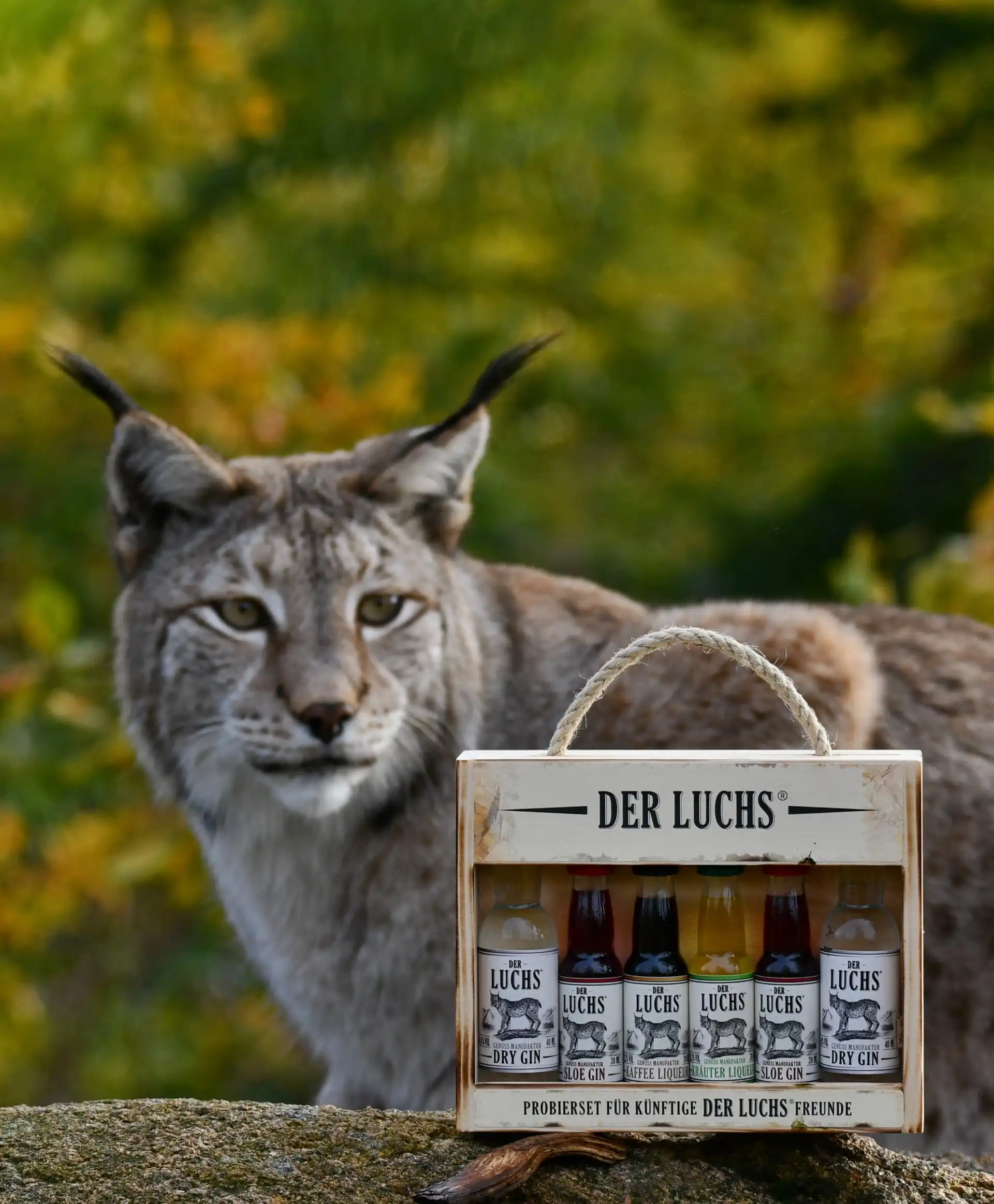 Luchs mit Gin Flasche im Vordergrund
