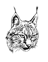 Geheimnisse – Icon